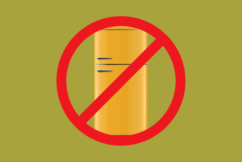 co nepatří do lednice