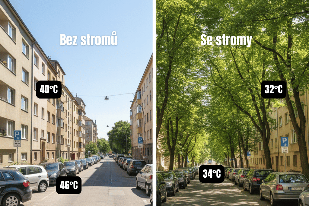 Ulice se stromy a bez stromů - teplotní rozdíly